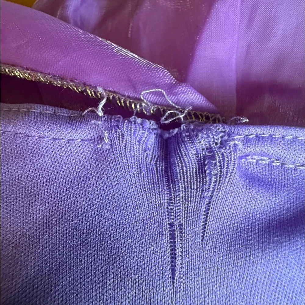 Disney Tangled Rapunzel Purple and Pink Princess Dress - Picture 8 of 8